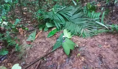 Lugar donde encontraron elementos de los niños cerca a la avioneta accidentada.