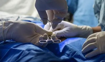 Imagen de referencia.