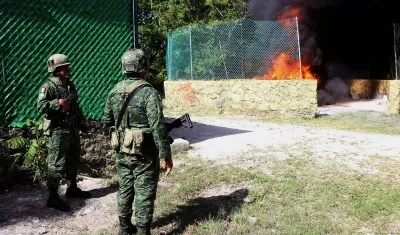 Incineración del narcótico. 