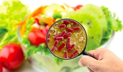 Imagen de referencia.