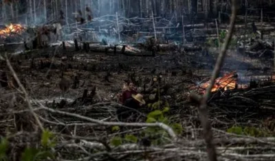 Deforestación en territorios indígenas