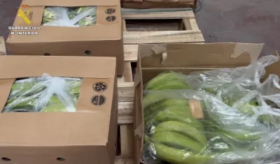 Droga oculta en plátanos. 