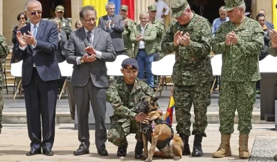 Drugia, madre del perro Wilson.