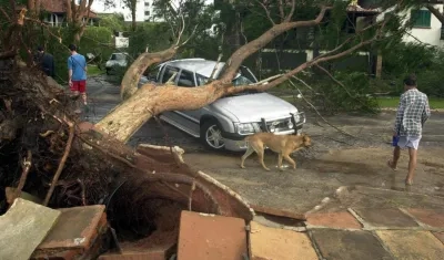 El fenómeno natural dejó destrucción en esa zona de Brasil. 