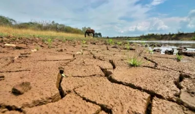 Fenómeno del Niño originará seguía en Colombia. 