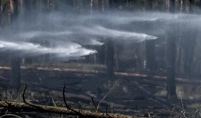 Incendios forestales. 