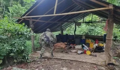 Laboratorio artesanal para la fabricación de coca