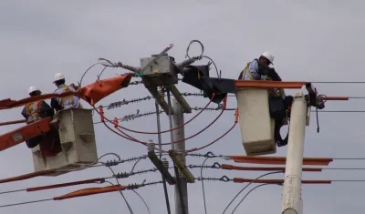 Operarios trabajan en redes eléctricas.