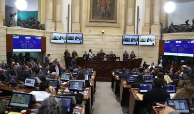 Plenaria del Senado de la República.