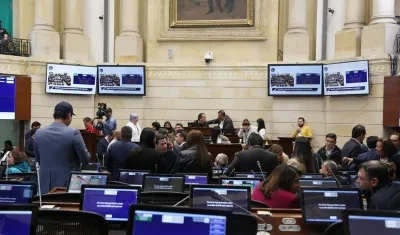 Imagen de la plenaria.