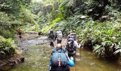 Tour ofrecido por Wandermut.