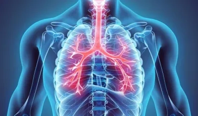 El nuevo mapa servirá para avanzar en la comprensión de las enfermedades pulmonares.