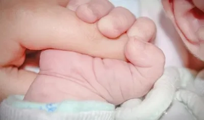 Imagen de referencia.