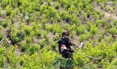 Imagen de referencia