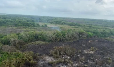 Los estragos del incendio en el parque Isla Salamanca