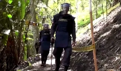 La misión de desminado está trabajando en el municipio de Mesetas