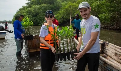 Imagen de la siembra.