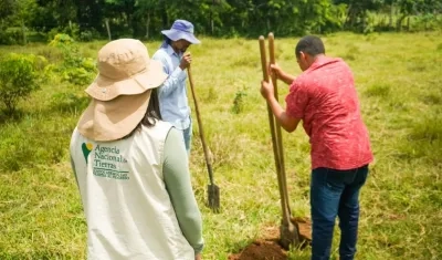 Imagen de referencia.