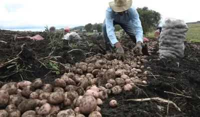 Imagen de referencia.