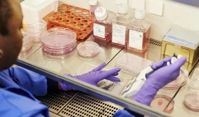 El medicamento fue desarrollado por la farmacéutica japonesa Eisai