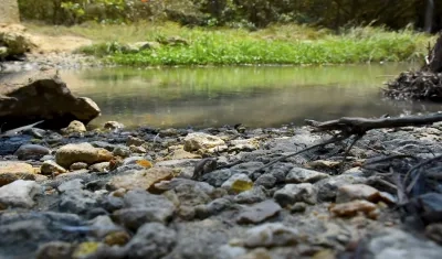 Imagen de referencia.