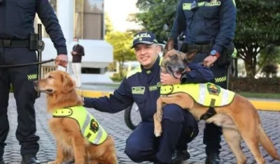 Imagen de referencia.