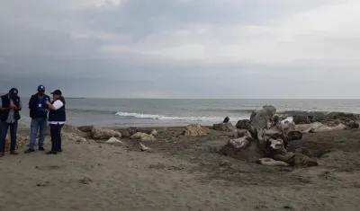 Mar Caribe, en Puerto Colombia. 