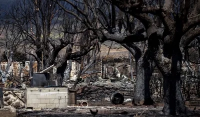 Imagen de los daños por los incendios.