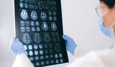 Imagen de referencia.