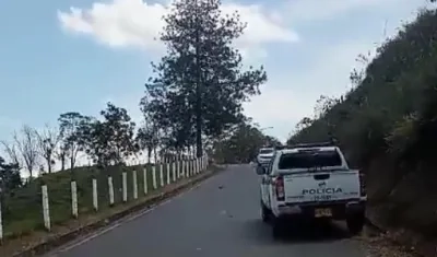 Imagen de referencia.