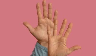 Imagen de referencia.