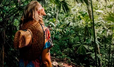 Imagen de referencia.