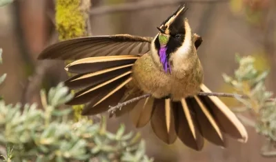  Ave en el Parque Ukumarí.