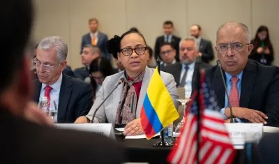 Elizabeth Taylor, Viceministra de Asuntos Multilaterales.