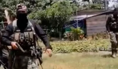 Imagen de referencia.