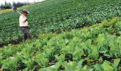 Imagen de referencia.