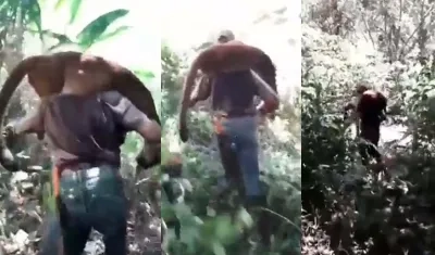 En sus hombros se ve cargando al puma muerto.