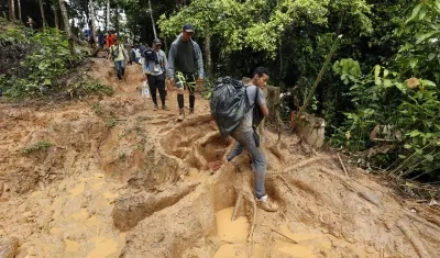 Migrantes suben una montaña con la intención de llegar a Panamá por el Tapón del Darién.