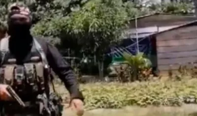 Imagen de referencia.