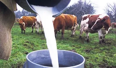 Imagen de referencia.