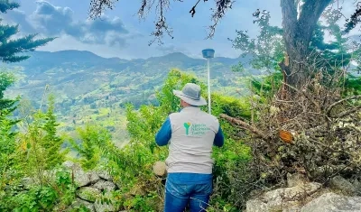 Imagen de referencia.