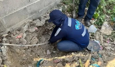 Imagen de referencia.