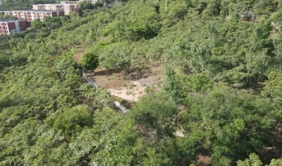 Bosque urbano ubicado en el barrio Campo Alegre.