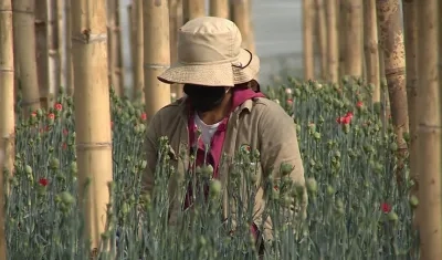 Imagen de referencia.