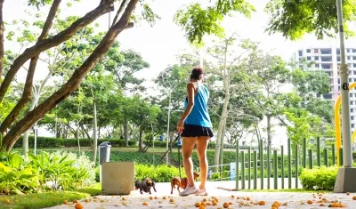 Parque Realismo Mágico, calle 99 con carrera 65, donde se robaron a 'Fendi'