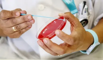 Personal técnico de laboratorio prepara unas muestras para analizar, en una imagen de archivo
