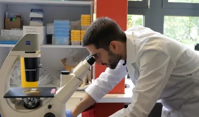 Imagen de referencia.