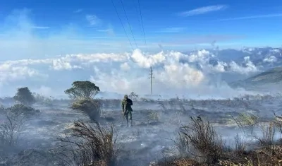 Devastación tras los incendios forestales en el país. 