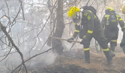 La Policía ayudando para apagar el incendio en los cerros de Bogotá. 