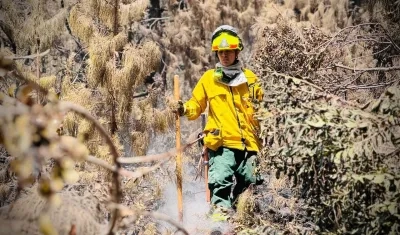 Hay 13 incendios que están siendo controlados.